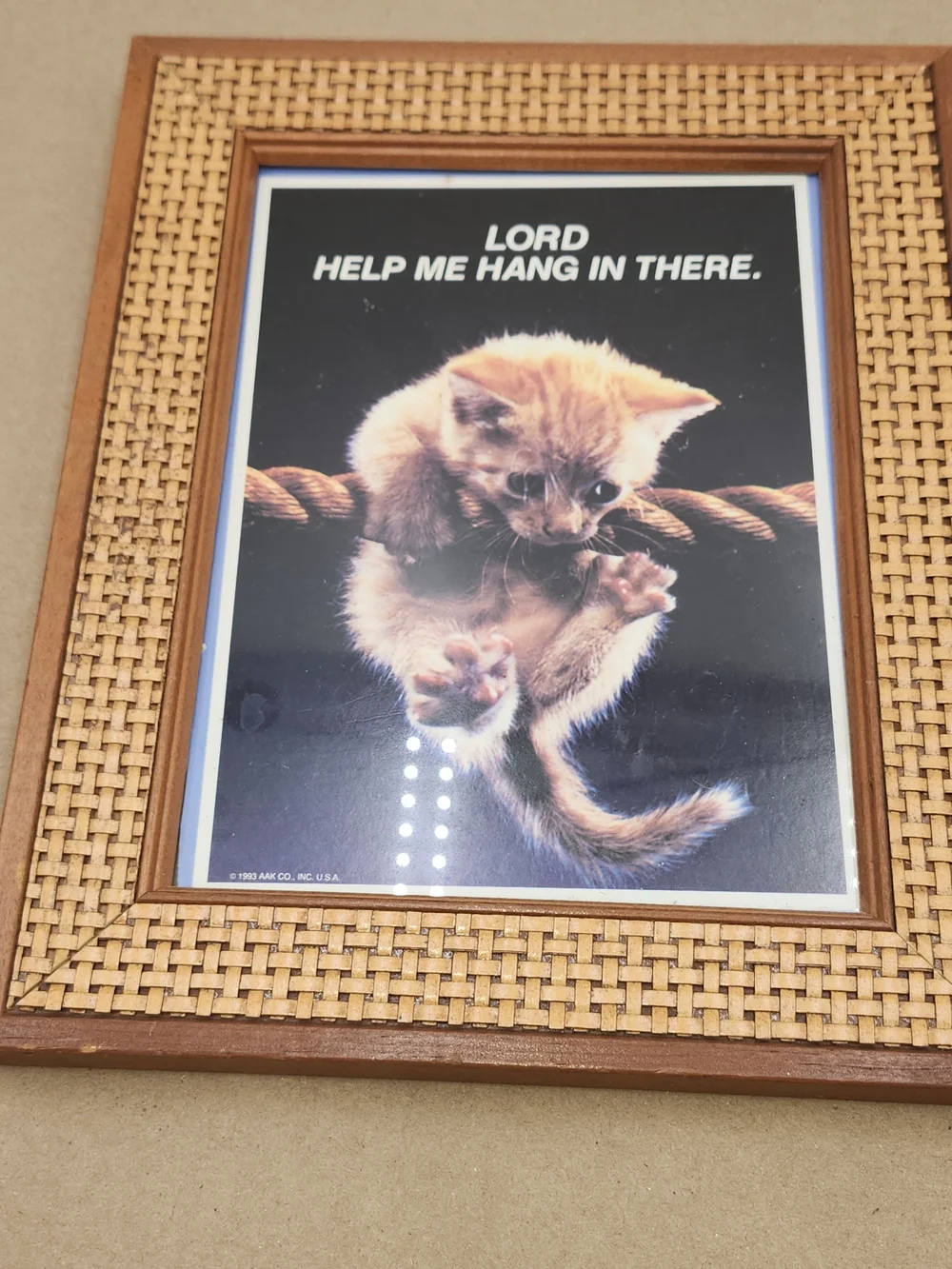 Vintage Rattan Framed Art Motivational Poster Cat Hang In There Wall Art